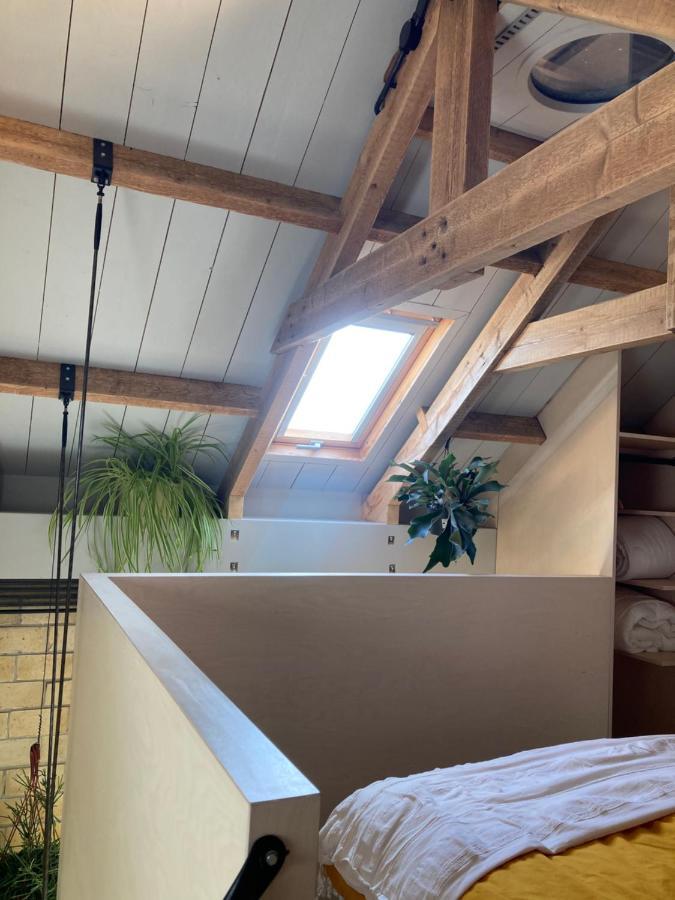 Tiny House Van Hoogspanning Naar Ontspanning Wirdum Exteriör bild