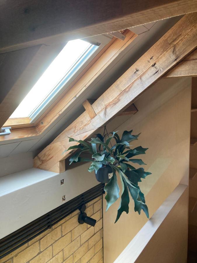Tiny House Van Hoogspanning Naar Ontspanning Wirdum Exteriör bild
